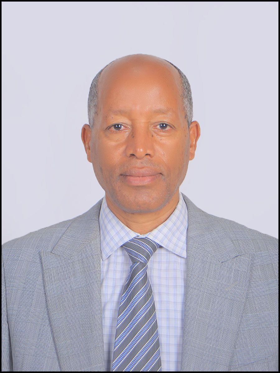 Dr. mengistu